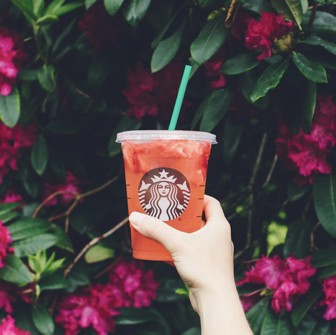 hand, plant, non alcoholic beverage, cup, drink, flower, cup,